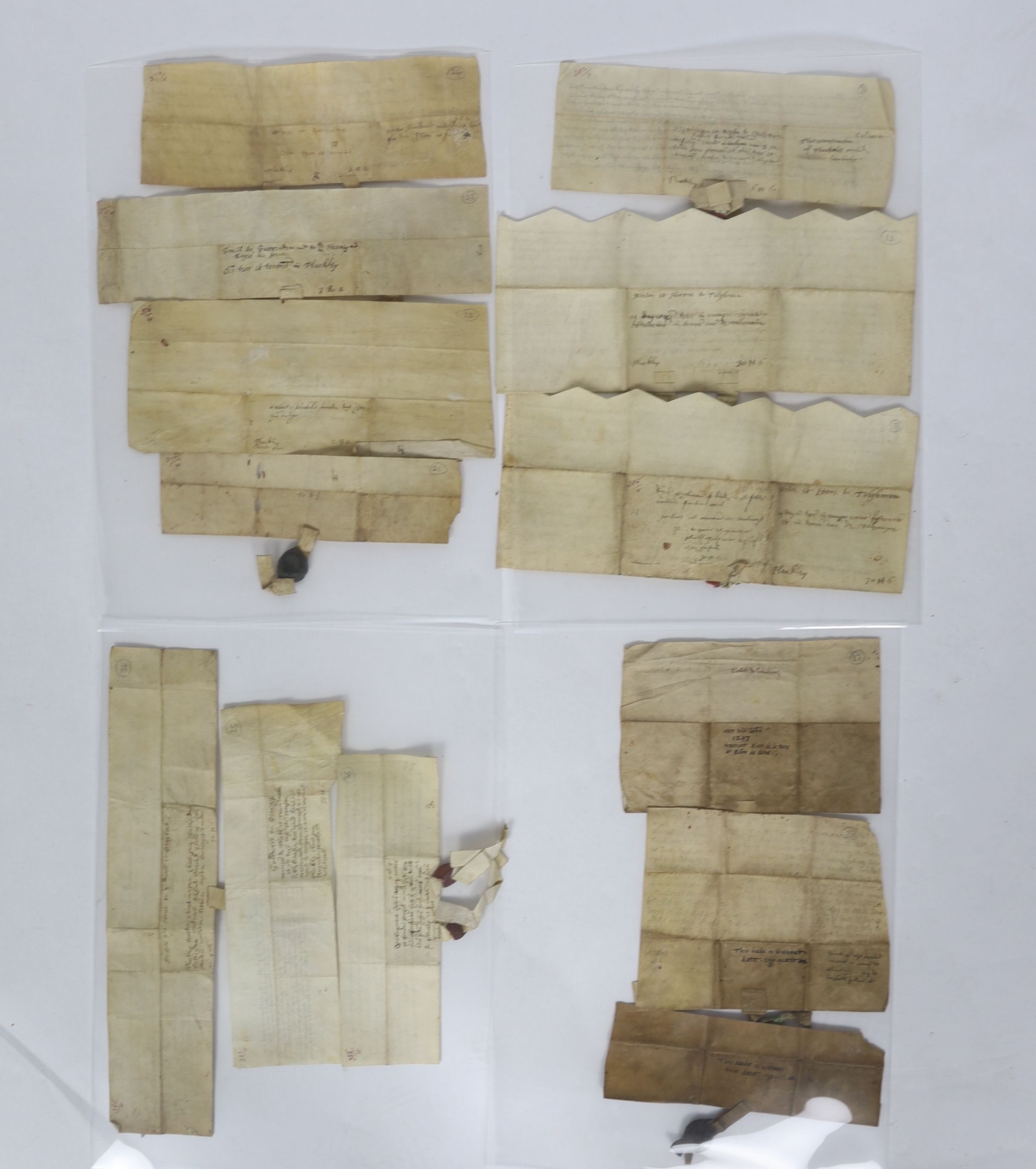 A Collection of deeds and documents relating chiefly to Kent, 1264-1654, from the collection of Thomas Godfrey Godfrey-Faussett (1829-1877)